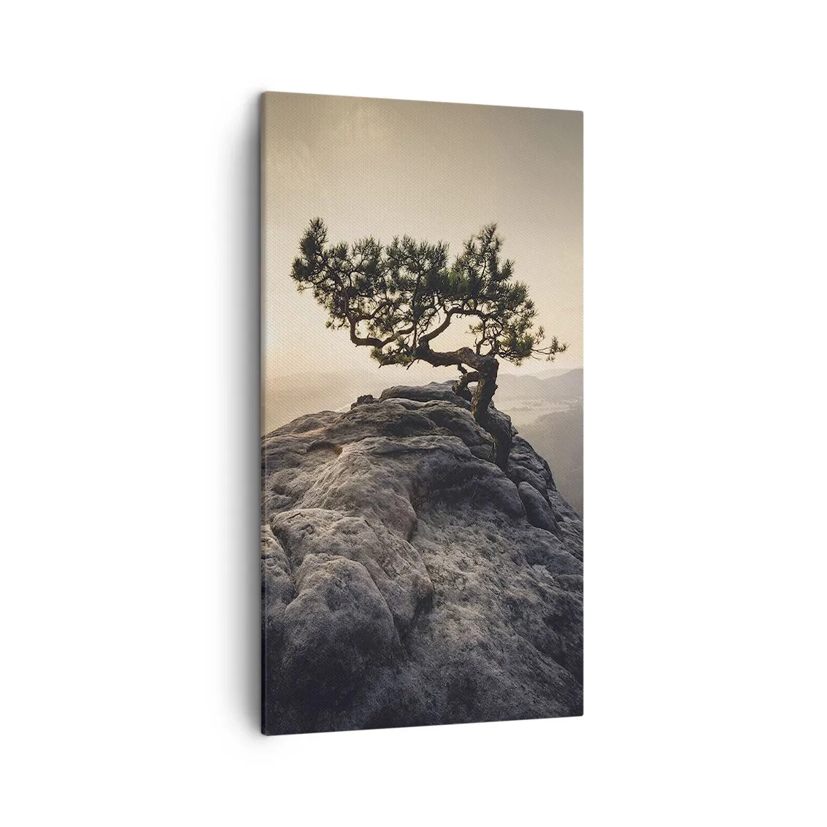 Obraz na plátne - Život vždy víťazí - 45x80 cm