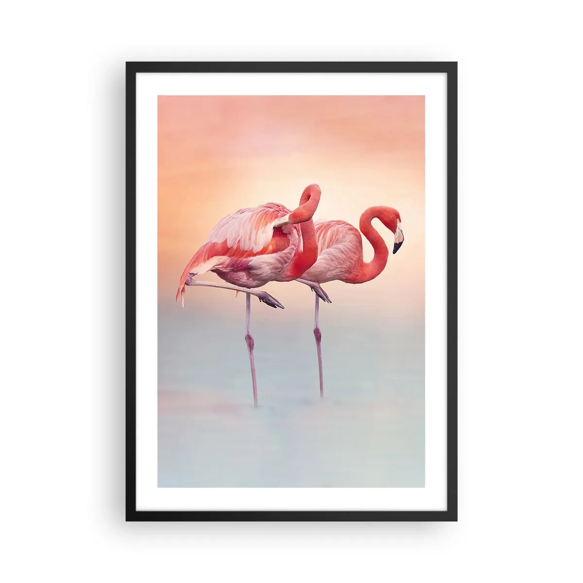Plagát v čiernom ráme - Plameniaky na pastelovom pozadí západu slnka - 50x70cm - Vo farbe zapadajúceho slnka - Moderná nástenná dekorácia do obývacej izby a spálne ARTTOR