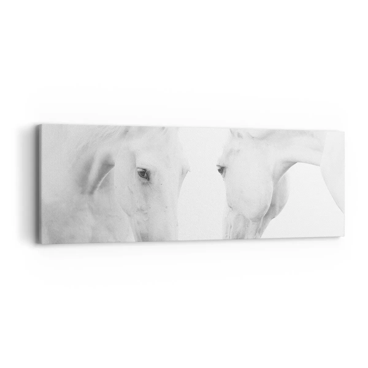 Obraz na plátne - Je to priateľstvo…? - 90x30 cm