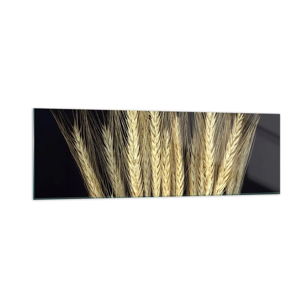 Obraz na skle - Rustikálna mágia - 160x50 cm