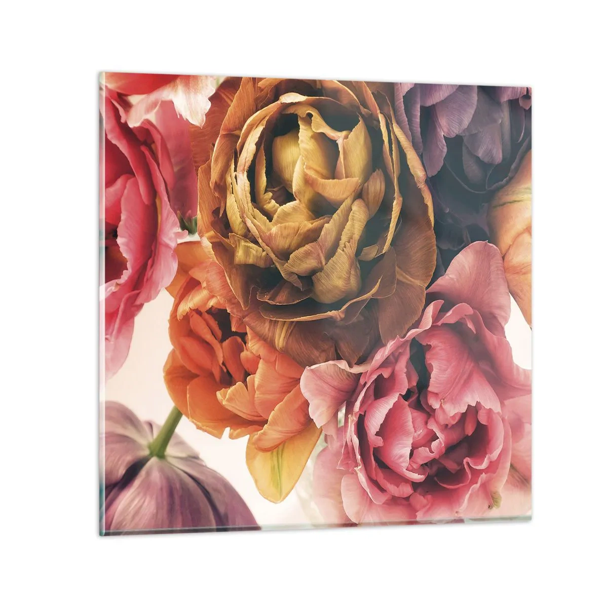 Obraz na skle - Oslava života - 70x70 cm