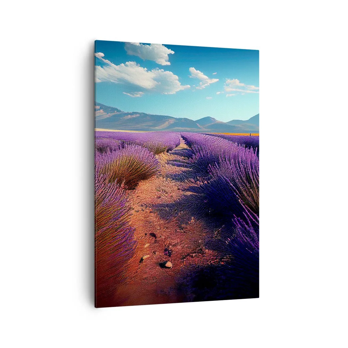 Obraz na plátne - Voňavé polia - 70x100 cm