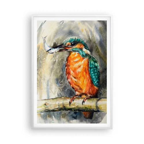 Plagát v bielom ráme - Prírodný zákon - 70x100 cm
