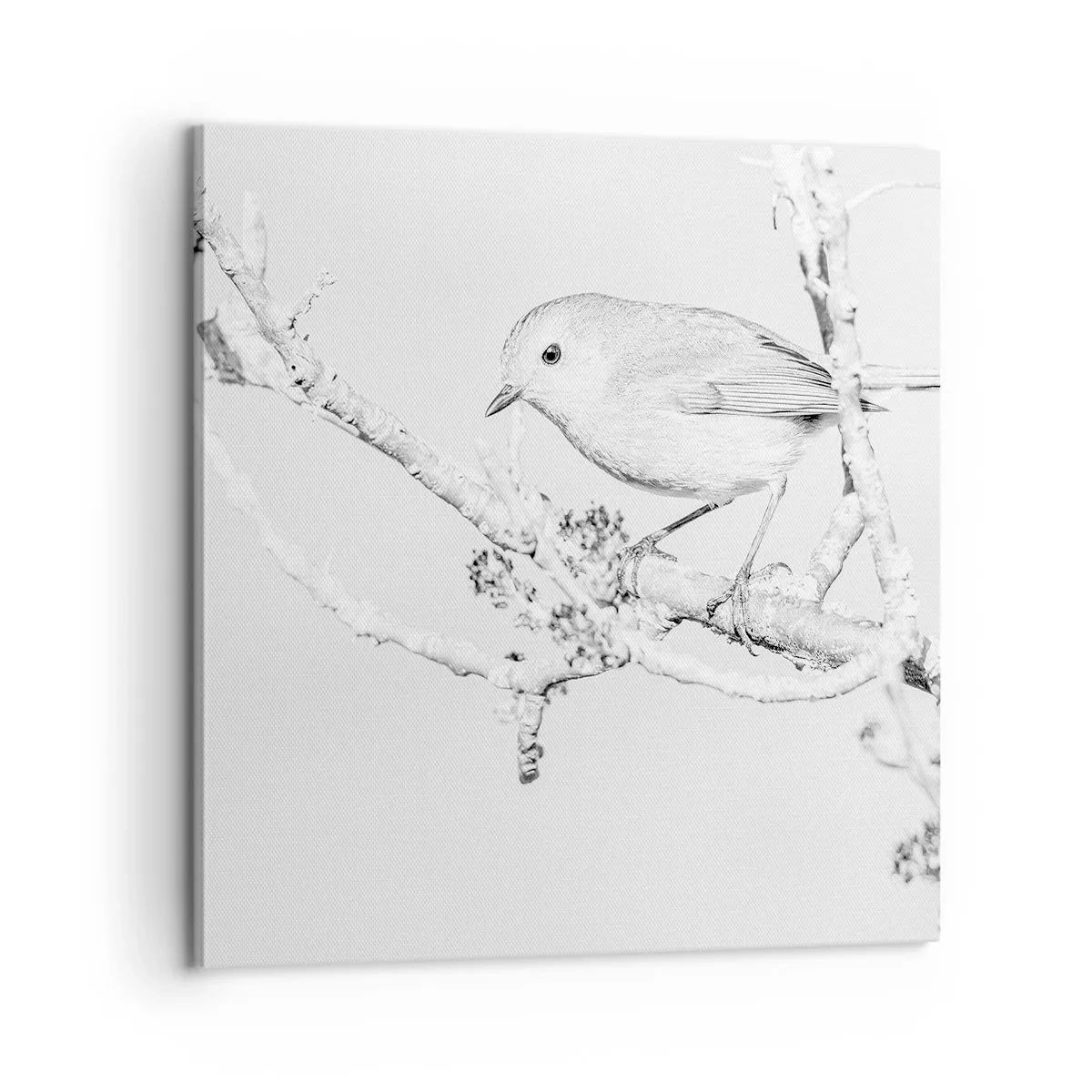 Obraz na plátne - Zimné ráno - 60x60 cm