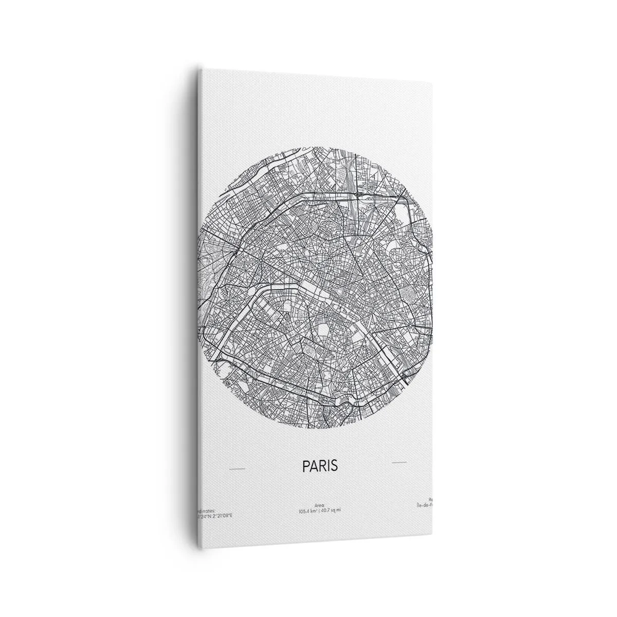 Obraz na plátne - Anatómia Paríža - 55x100 cm