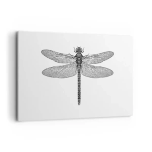 Obraz na plátne - Presnosť prírody - 120x80 cm