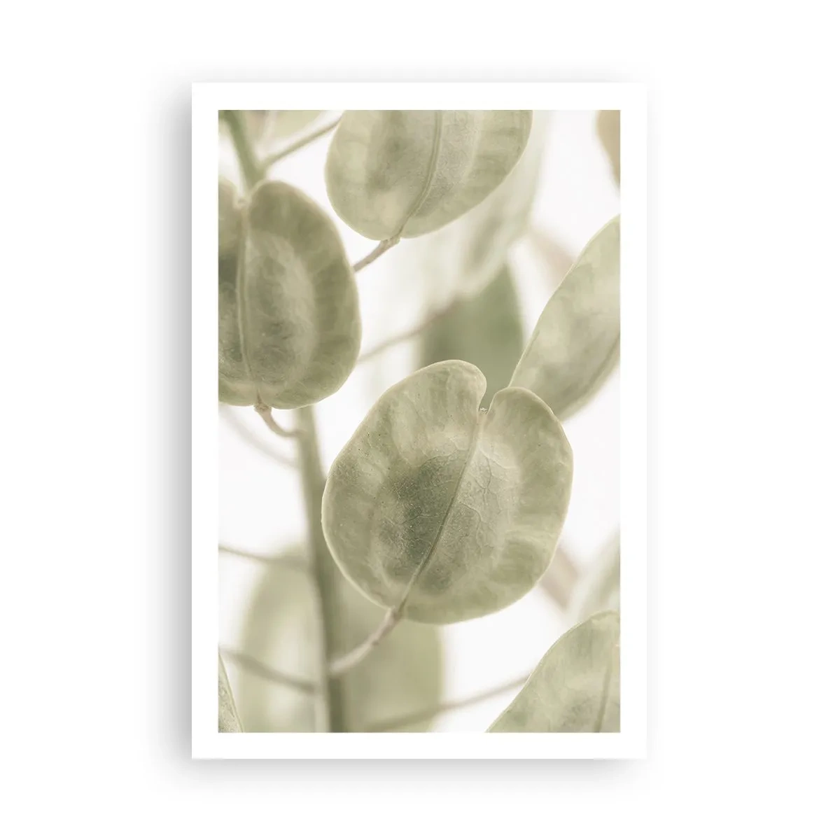 Plagát - Na začiatku bolo lístie… - 61x91 cm