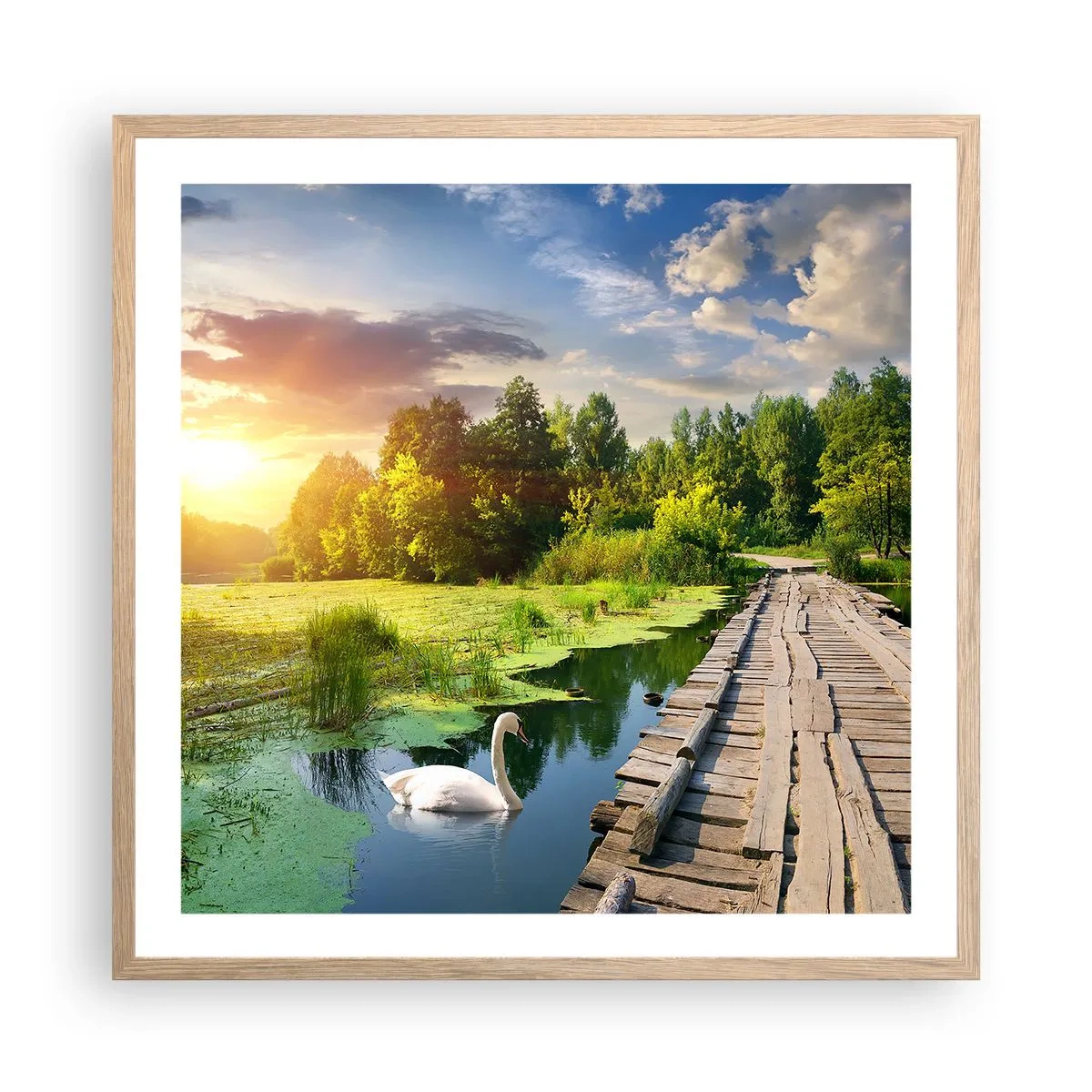 Plagát v ráme zo svetlého duba - Leto, leto všade - 60x60 cm