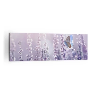 Obraz na plátne - Bozk motýľa - 160x50 cm