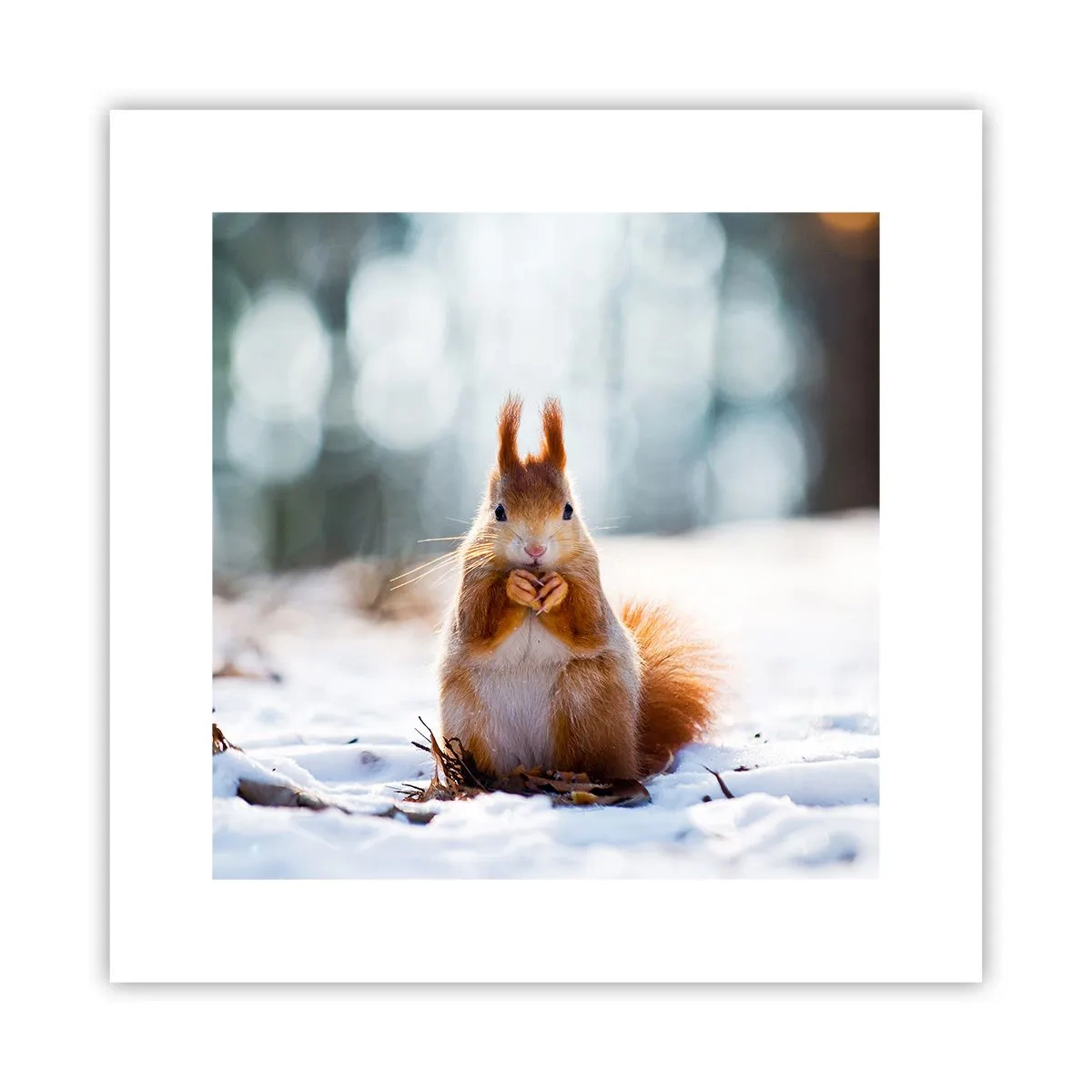 Plagát - Čo sa tak pozeráš? - 30x30 cm