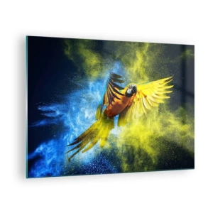 Obraz na skle - Farebný papagáj za letu na žltom a modrom pozadí - 70x50cm - V modro-zlatom prachu - Moderná nástenná dekorácia do obývacej izby a spálne ARTTOR