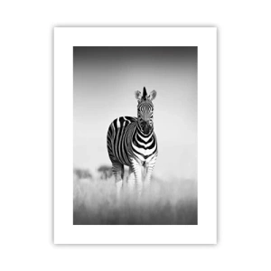 Plagát - A svet je aj tak čierno-biely - 30x40 cm