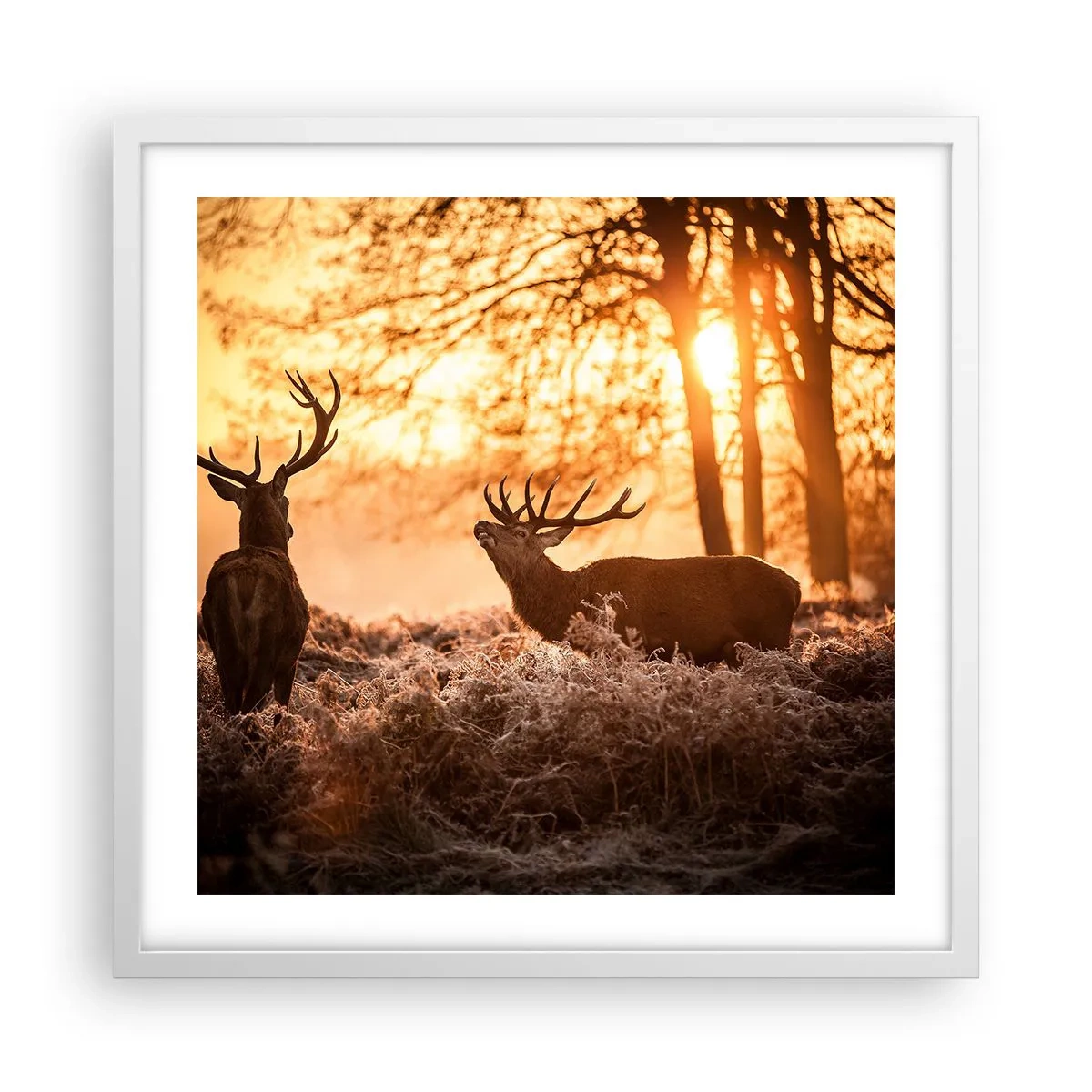 Plagát v bielom ráme - Sen poľovníka - 50x50 cm