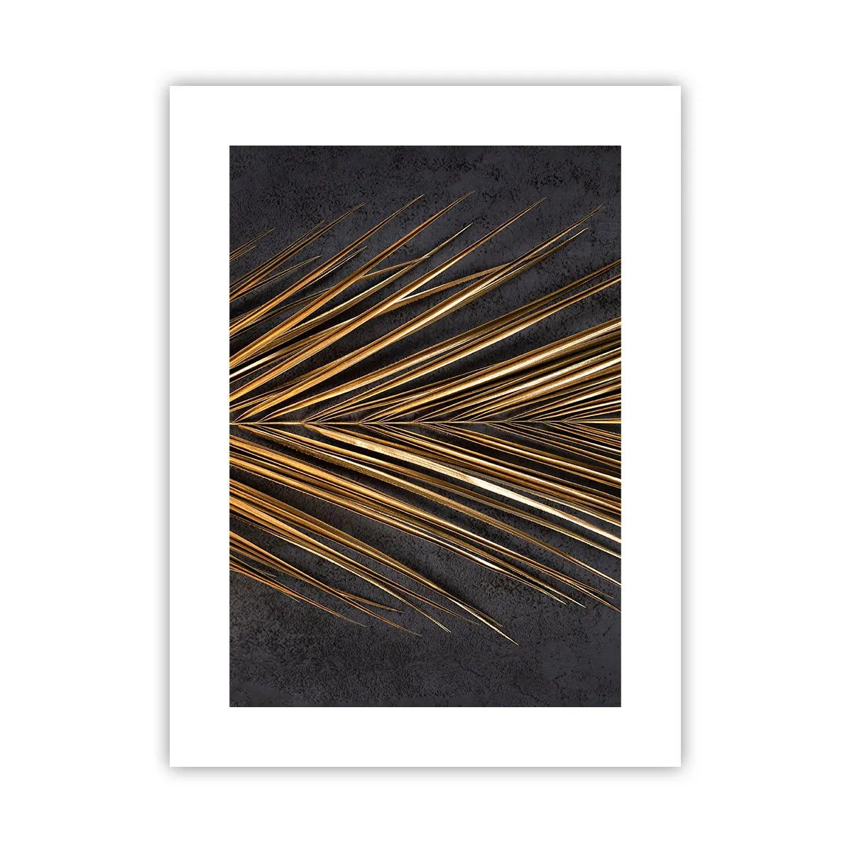 Plagát - Zlato trópov - 30x40 cm