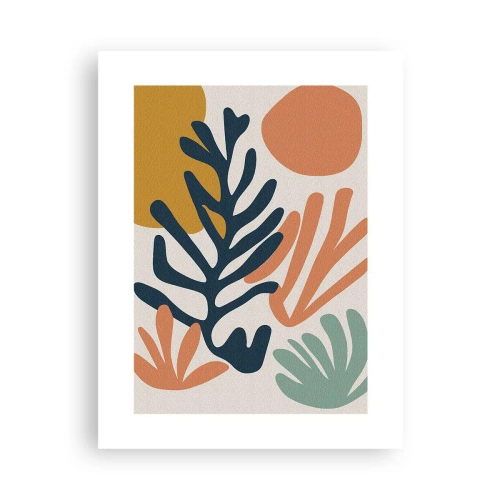 Plagát - Koralové more - 30x40 cm