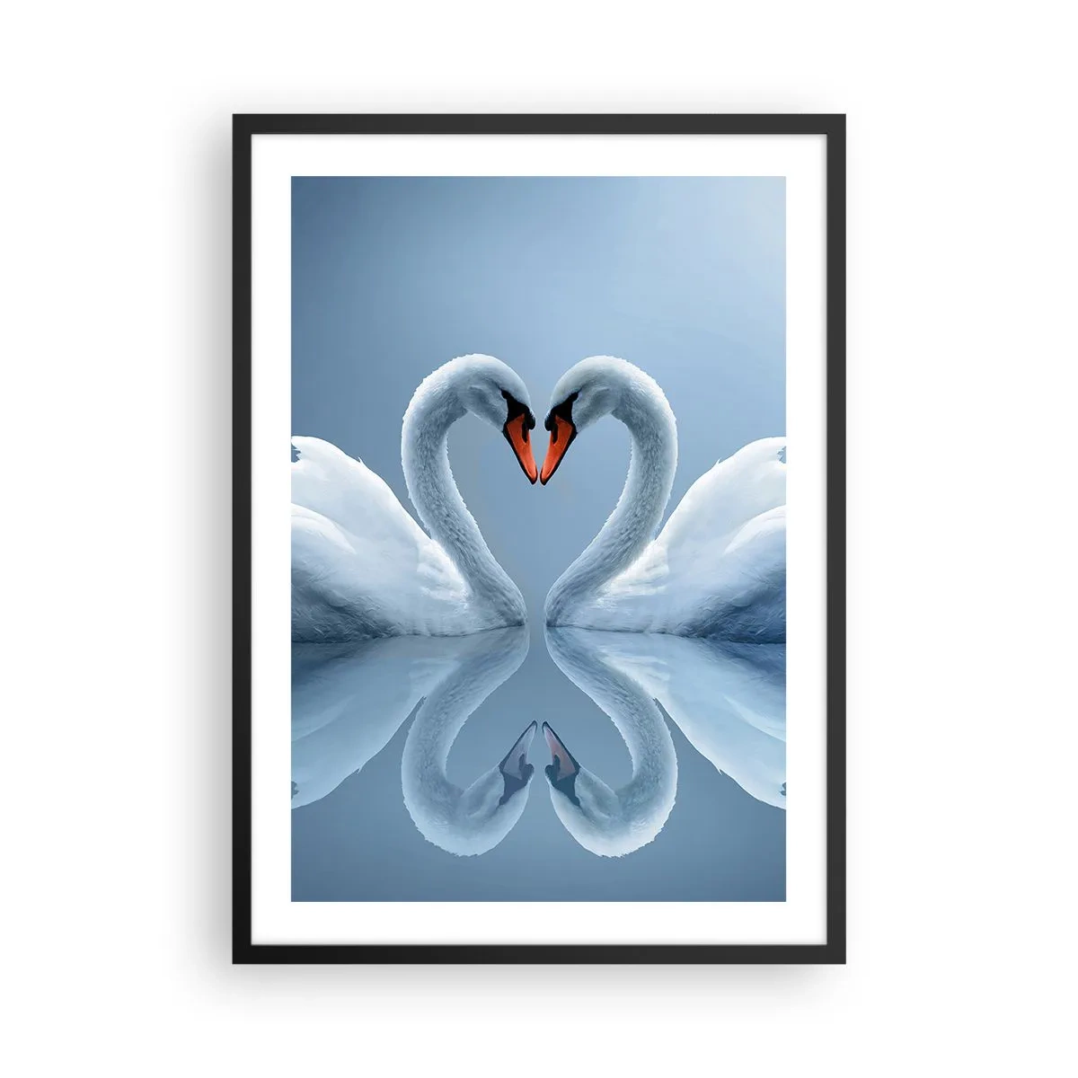 Plagát v čiernom ráme - Labute v tvare srdca proti oblohe - 50x70cm - Čas na lásku - Moderná nástenná dekorácia do obývacej izby a spálne ARTTOR