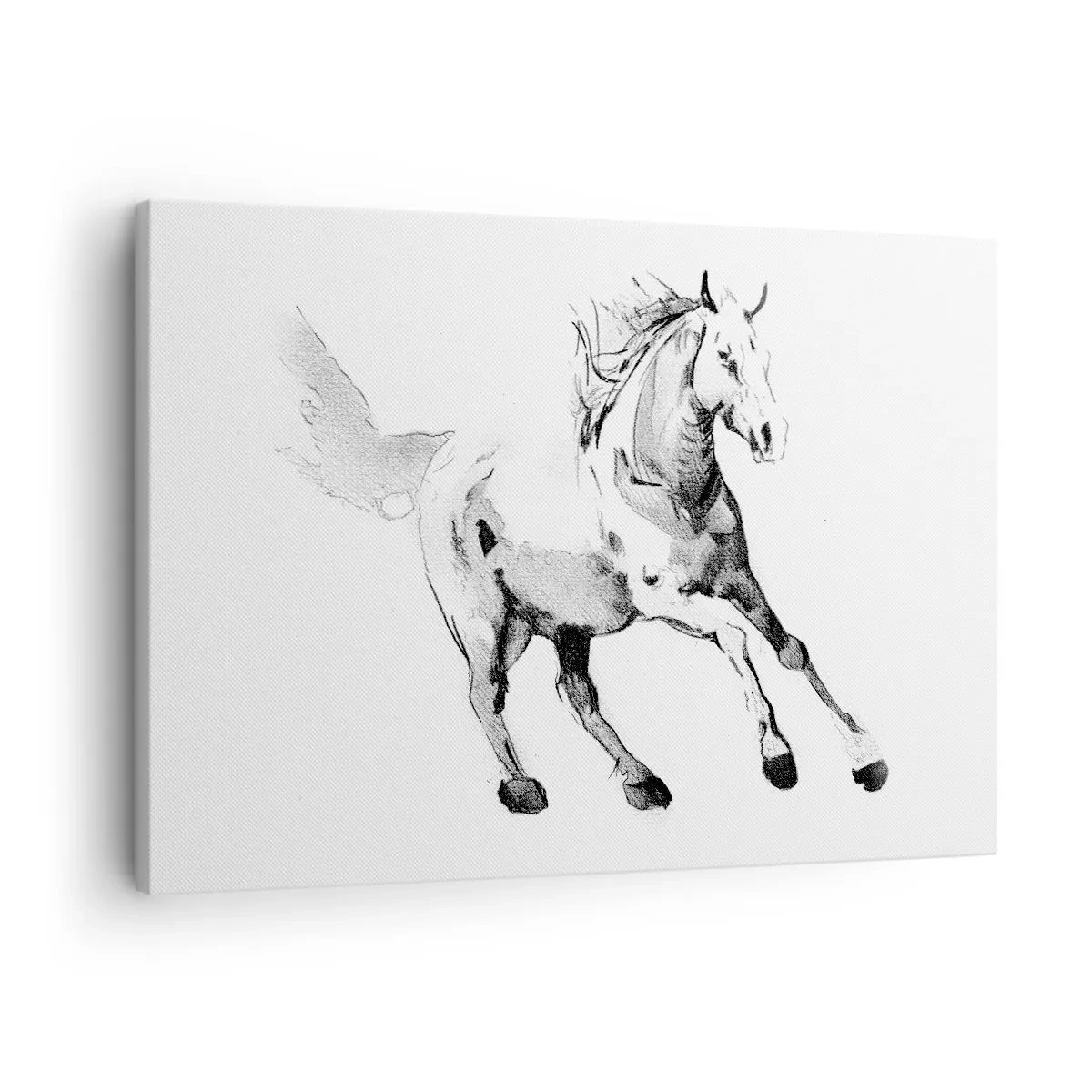 Obraz na plátne - Náčrt cválajúceho koňa v odtieňoch čiernej a bielej - 70x50cm - Neskrotená duša - Moderná nástenná dekorácia do obývacej izby a spálne ARTTOR
