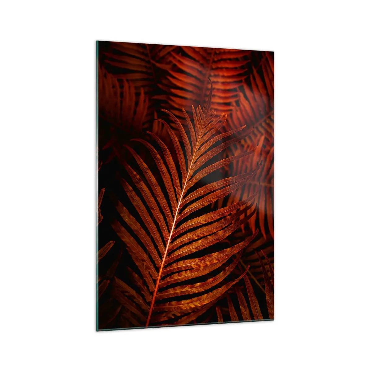 Obraz na skle - Žiar života - 70x100 cm