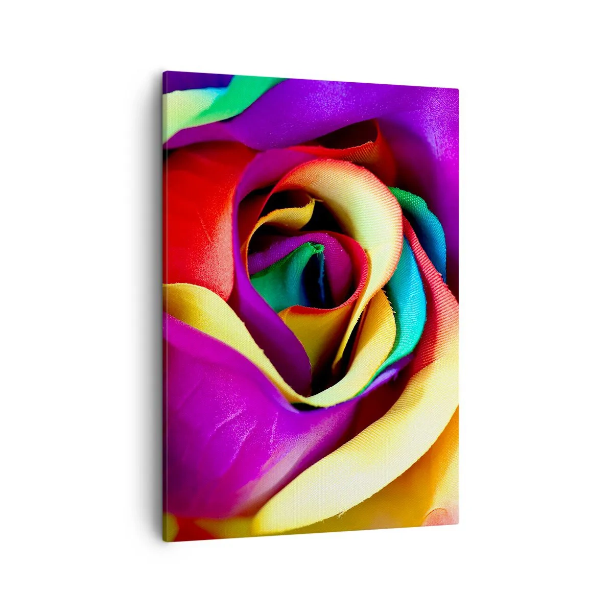 Obraz na plátne - To nie je možné - 50x70 cm