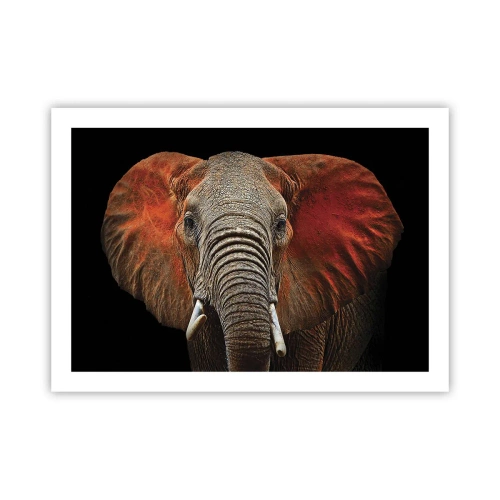 Plagát - Som divoký, a ty? - 70x50 cm