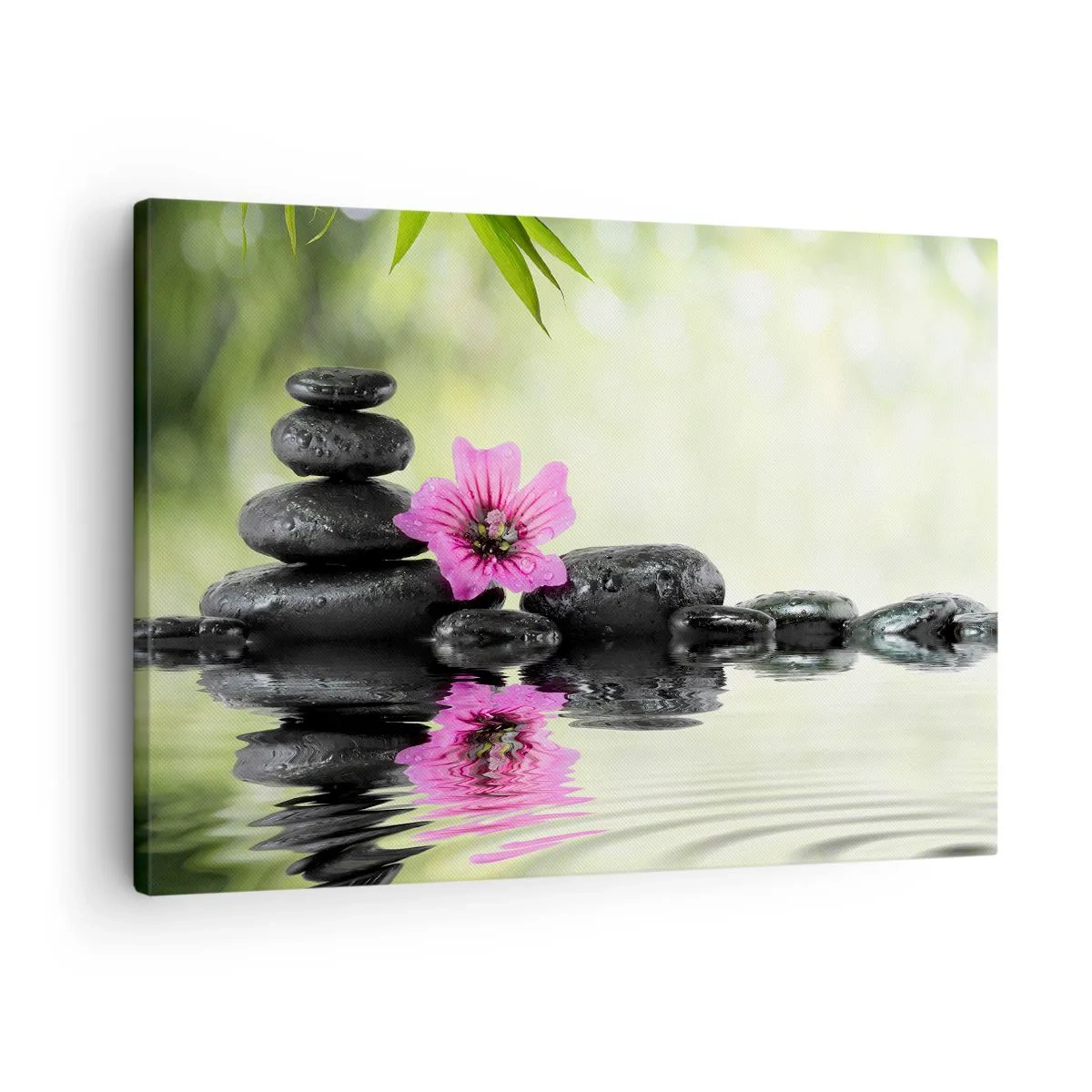 Obraz na plátne - Zenové kamene a ružový kvet odrážajúci sa vo vode - 70x50cm - Čas pre dušu - Moderná nástenná dekorácia do obývacej izby a spálne ARTTOR