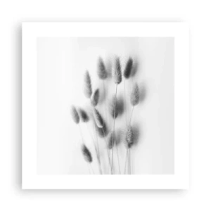 Plagát - Našuchorená tráva - 40x40 cm