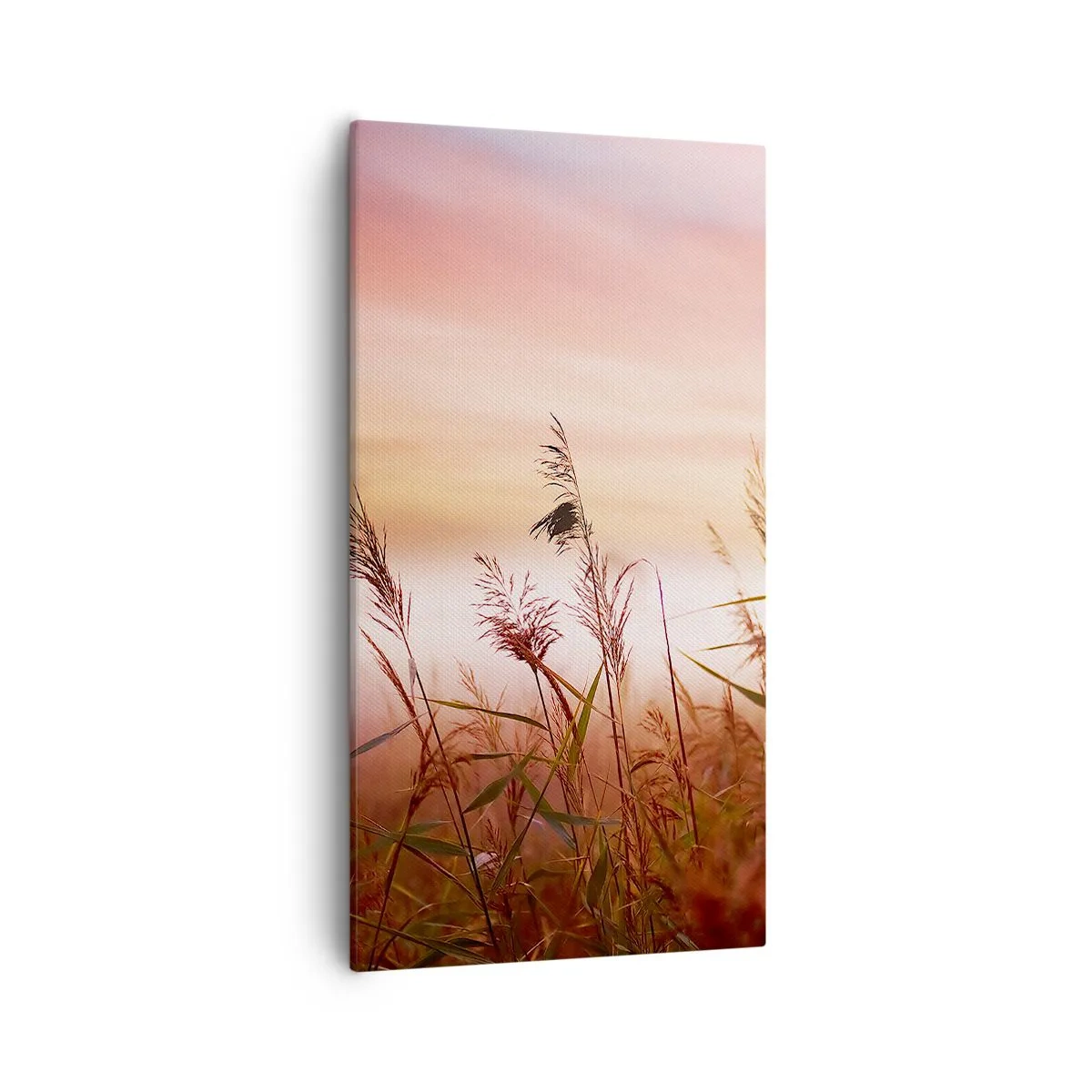 Obraz na plátne - Draci, púpavy a vietor - 55x100 cm