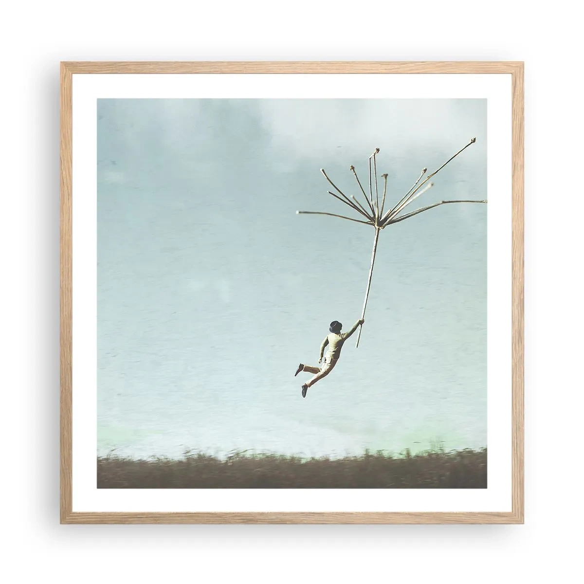 Plagát v ráme zo svetlého duba - Lietajúca púpava - 60x60 cm