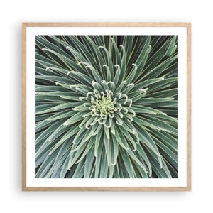 Plagát v ráme zo svetlého duba - Zrodenie hviezdy - 60x60 cm