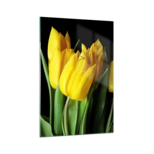 Obraz na skle - Vznikli z čistého slnka - 70x100 cm
