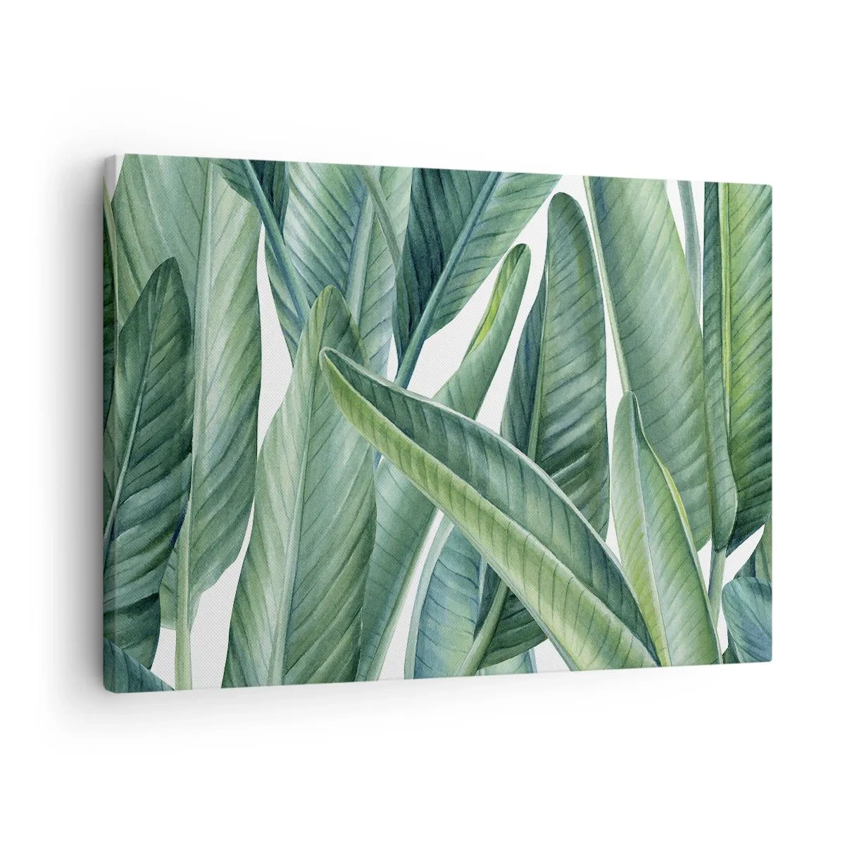 Obraz na plátne - Zelené listy v minimalistickom, botanickom štýle - 70x50cm - Proste zelená - Moderná nástenná dekorácia do obývacej izby a spálne ARTTOR