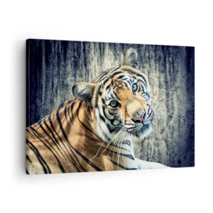 Obraz na plátne - Tiger ležiaci pri stene s drsnou textúrou - 70x50cm - Portrét v prameňoch svetla - Moderná nástenná dekorácia do obývacej izby a spálne ARTTOR