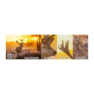 Vzorka fototapety Premium Canvas - Kráľ jesenného lesa - Krajina, Jeleň, Príroda - 100x30 cm