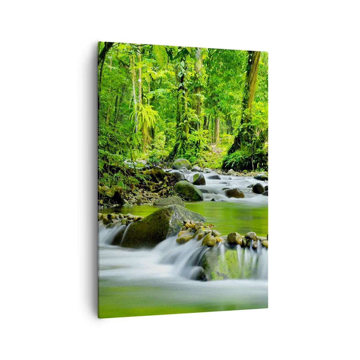 Obraz na plátne - Plávať morom zelene - 70x100 cm