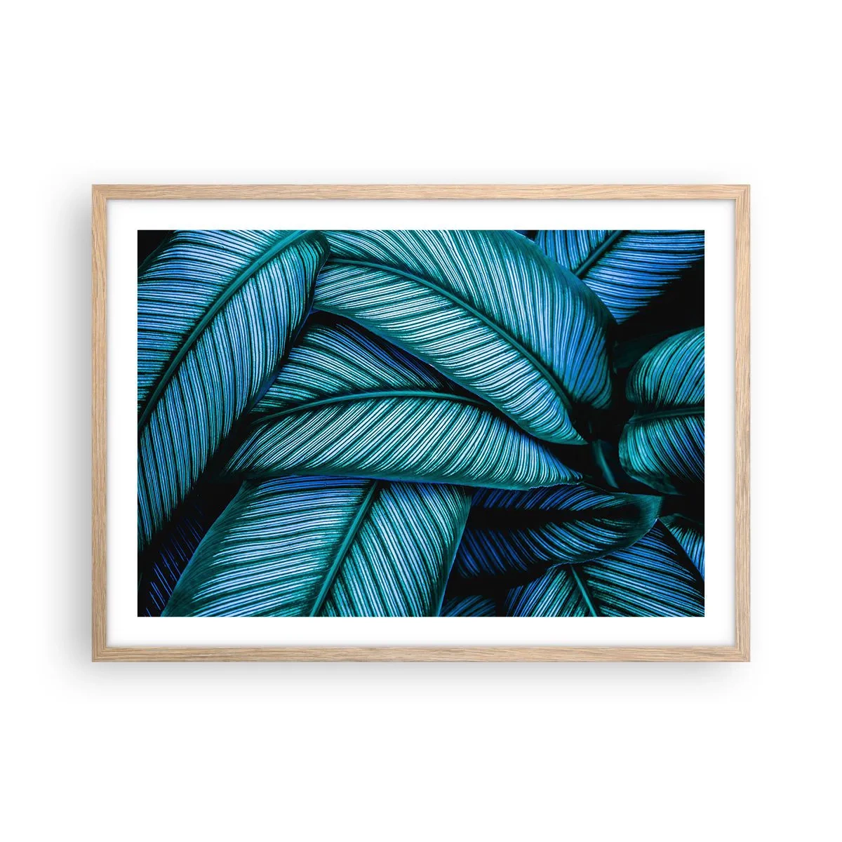 Plagát v ráme zo svetlého duba - Čiary života - 70x50 cm