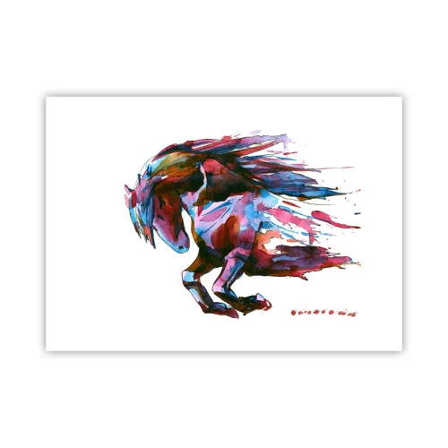 Plagát - Nadšenie - 70x50 cm