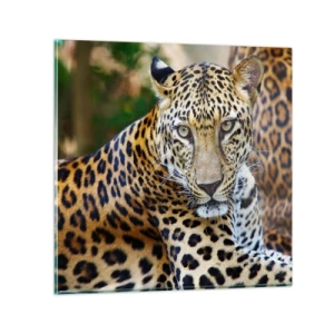 Obraz na skle - Divoký a pokojný - 50x50 cm