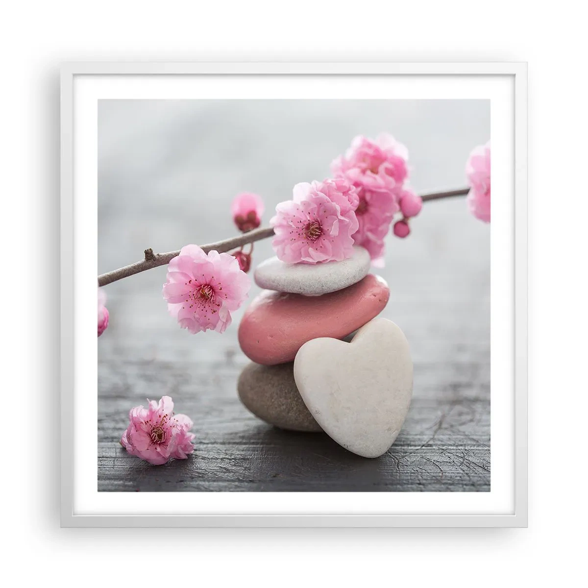 Plagát v bielom ráme - Blaženosť s višňovým kvetom - 60x60 cm
