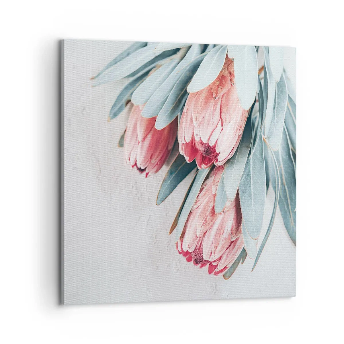 Obraz na plátne - Zahanbené svojou vlastnou krásou - 60x60 cm