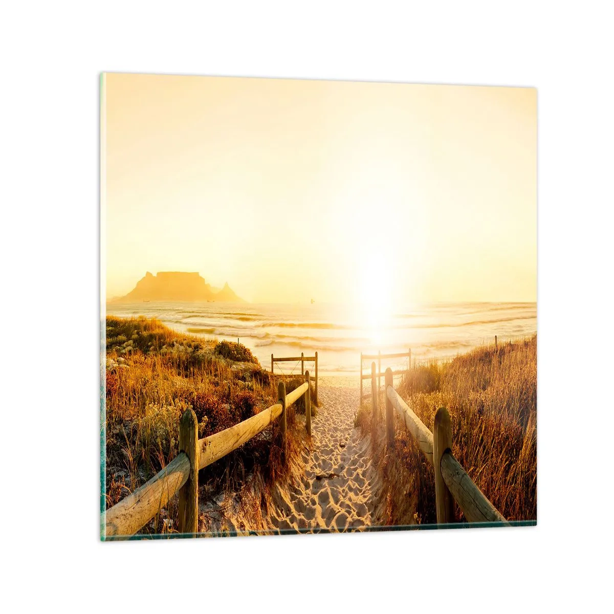 Obraz na skle - Dunami smerom k slnku - 50x50 cm