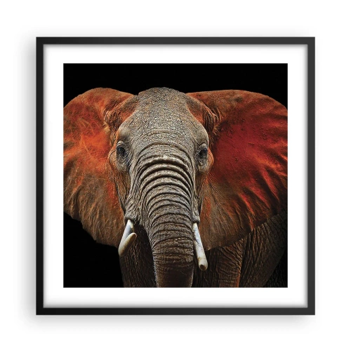 Plagát v čiernom ráme - Som divoký, a ty? - 50x50 cm