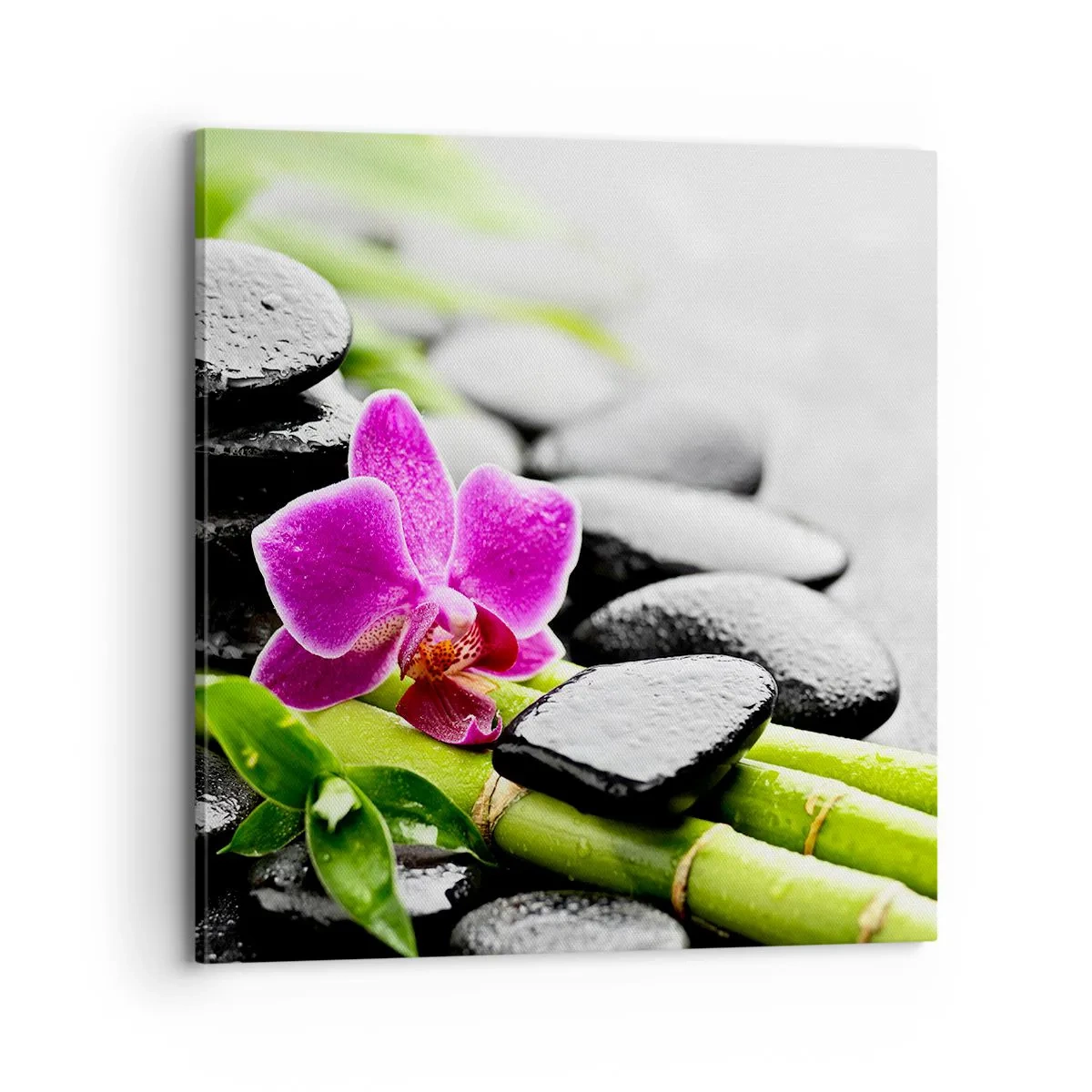 Obraz na plátne - V pokojnej rovnováhe - 70x70 cm