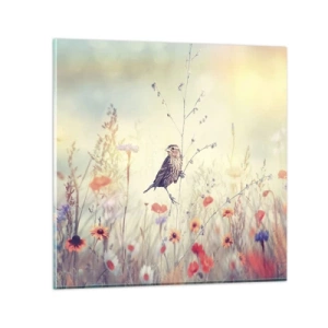 Obraz na skle - Portrét vtáka s lúkou v pozadí - 70x70 cm