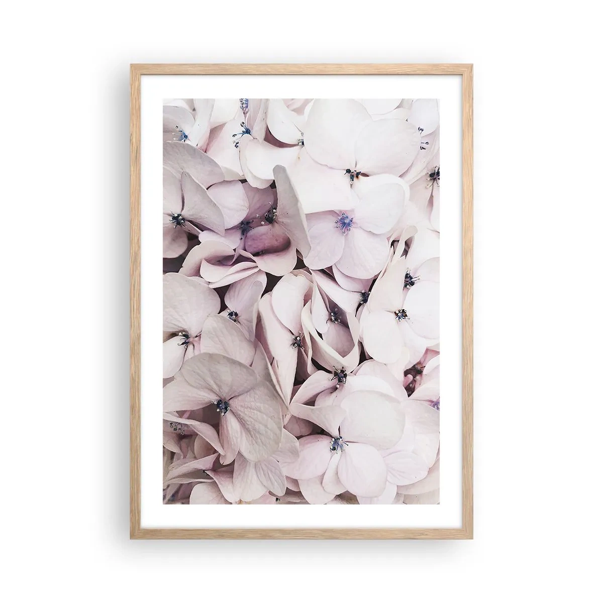 Plagát v ráme zo svetlého duba - V záplave kvetov - 50x70 cm