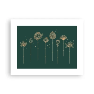 Plagát - Bylinky - 40x30 cm