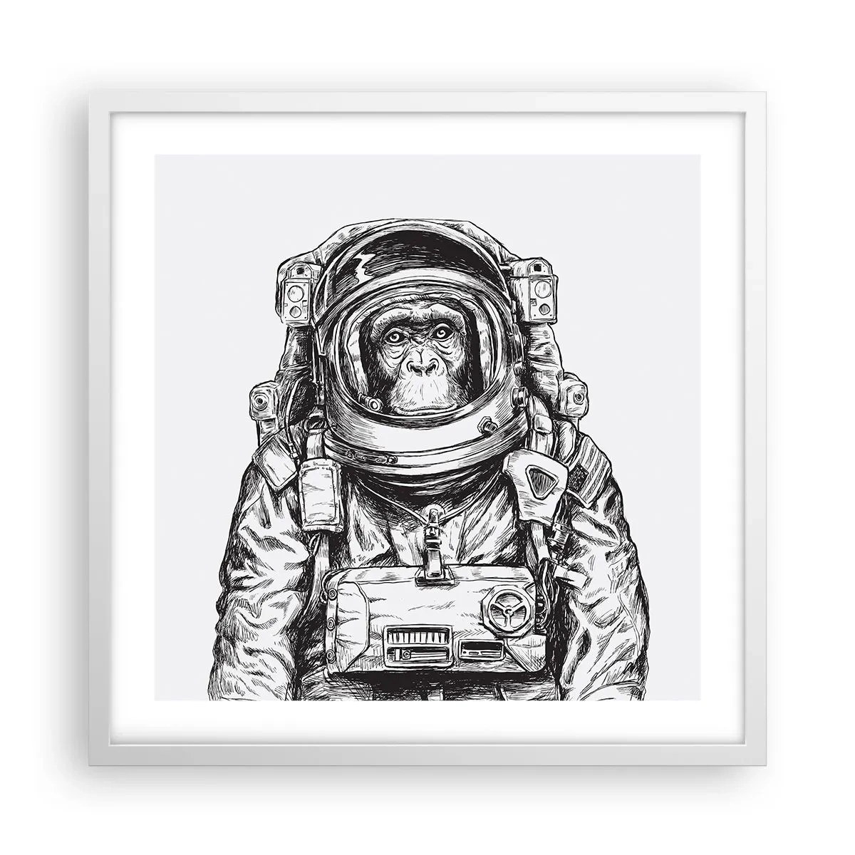 Plagát v bielom ráme - Alternatívny vývoj - 50x50 cm