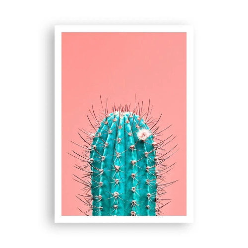 Plagát - Len pozeraj - 70x100 cm