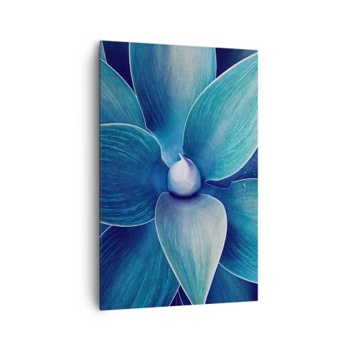 Obraz na plátne - Modrastý od neba - 80x120 cm