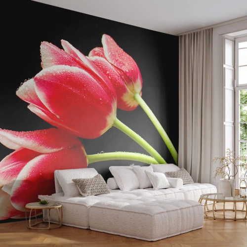 Fototapeta Premium Sand - Sľub čistej lásky - Kvety, Tulipány, Príroda - 400x280 cm