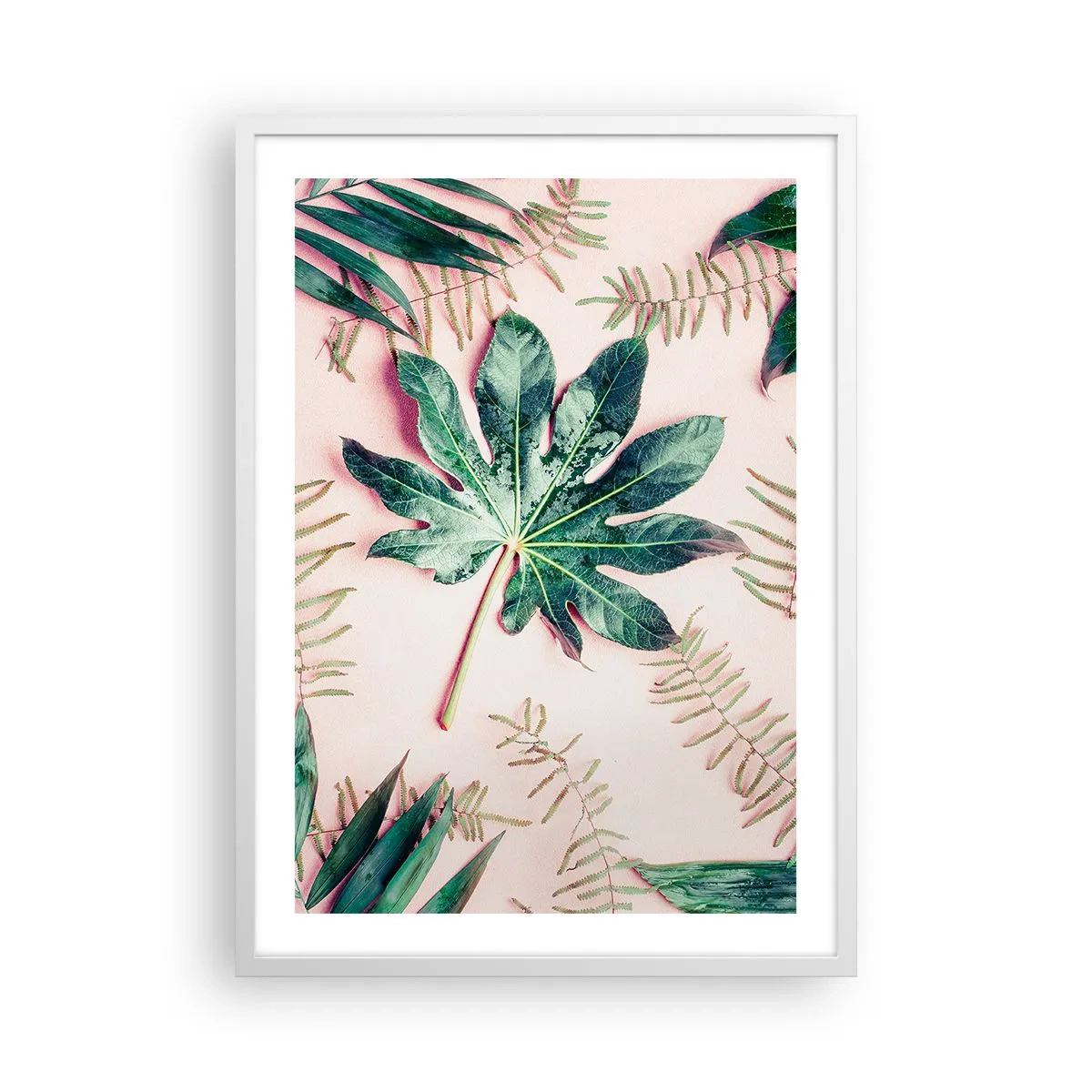 Plagát v bielom ráme - Štúdia zelenej na ružovom pozadí - 50x70 cm